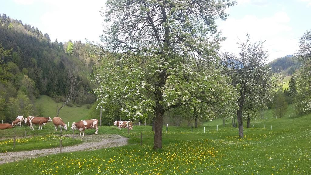 Sankt Anton an der Jessnitz Eggbauerヴィラ エクステリア 写真